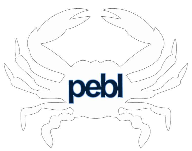 pebl Animation